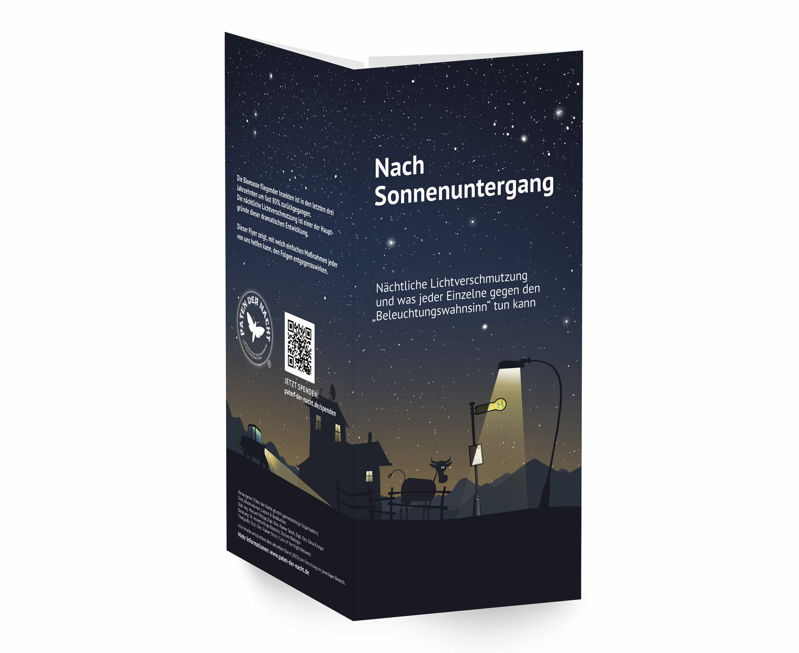 Flyer Lichtverschmutzung
